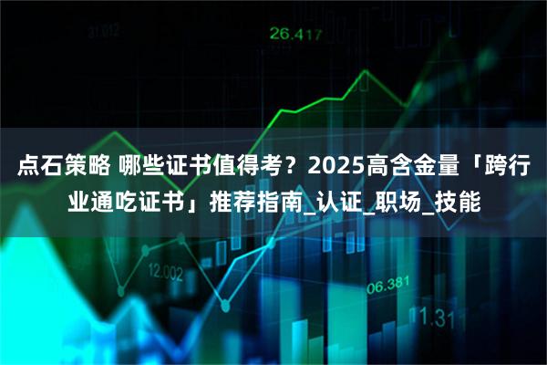 点石策略 哪些证书值得考？2025高含金量「跨行业通吃证书」推荐指南_认证_职场_技能