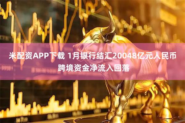 米配资APP下载 1月银行结汇20048亿元人民币 跨境资金净流入回落