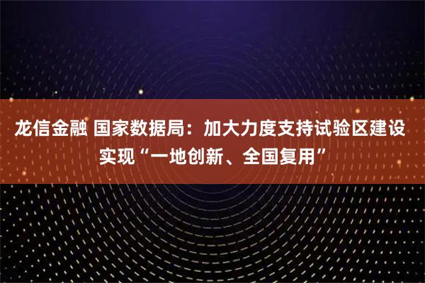 龙信金融 国家数据局：加大力度支持试验区建设 实现“一地创新、全国复用”