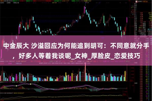 中金辰大 沙溢回应为何能追到胡可：不同意就分手，好多人等着我谈呢_女神_厚脸皮_恋爱技巧