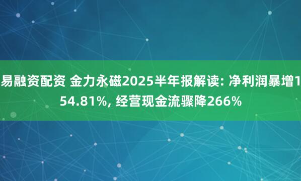易融资配资 金力永磁2025半年报解读: 净利润暴增154.81%, 经营现金流骤降266%