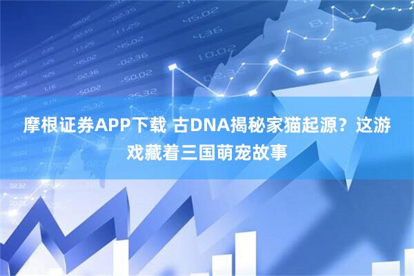 摩根证券APP下载 古DNA揭秘家猫起源?这游戏藏着三国萌宠故事