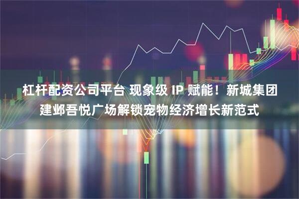 杠杆配资公司平台 现象级 IP 赋能！新城集团建邺吾悦广场解锁宠物经济增长新范式